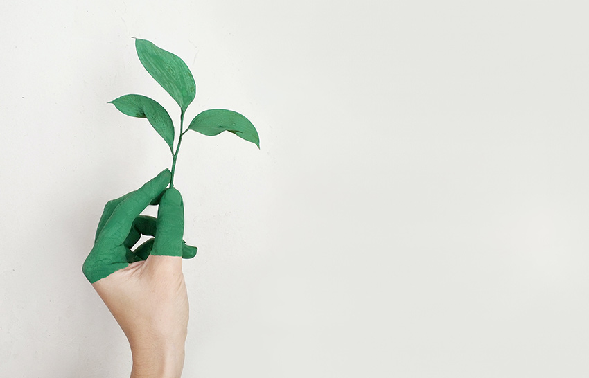 green marketing