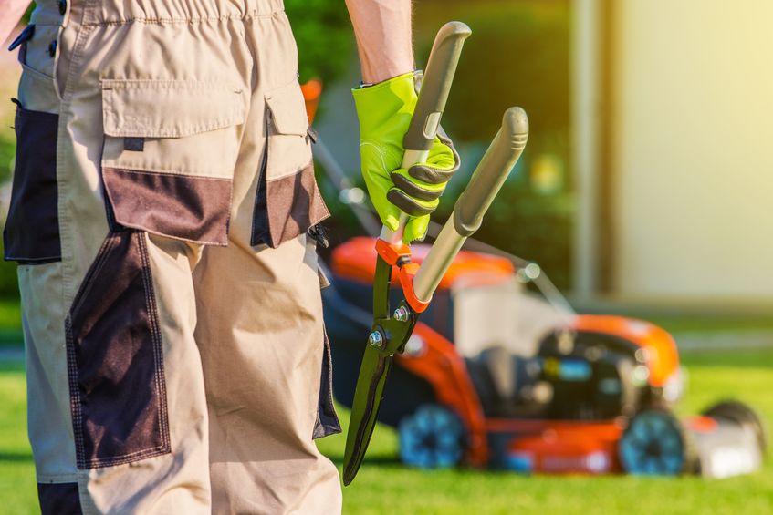Landscape Marketing|lawn order|dragonetti brothers landscaping|oasis landscape and irrigation